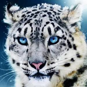 Meet your Posher, Timothy